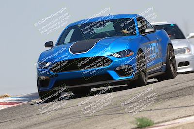 media/Jul-26-2025-Speed Ventures (Sat) [[fe569e6cf0]]/Black Group/Grapvine/